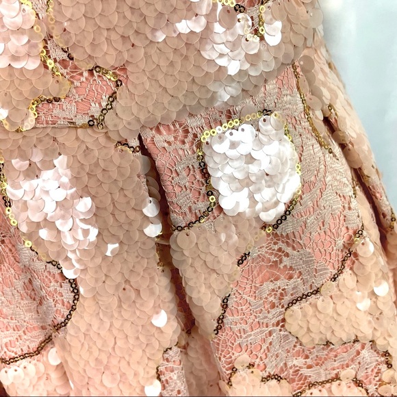 Anthropologie Eva Franco  Blush Gold Sequin Lace Fit and Flare Dress 8 - Picture 2 of 14